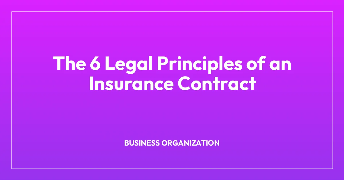The 6 Legal Principles of an Insurance Contract