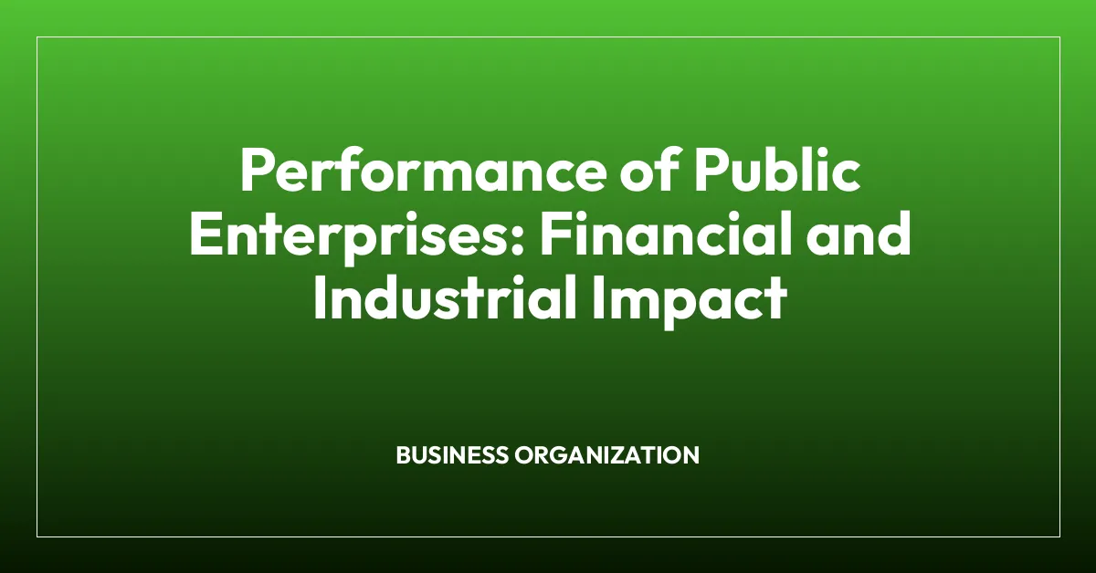 Performance of Public Enterprises: Financial and Industrial Impact