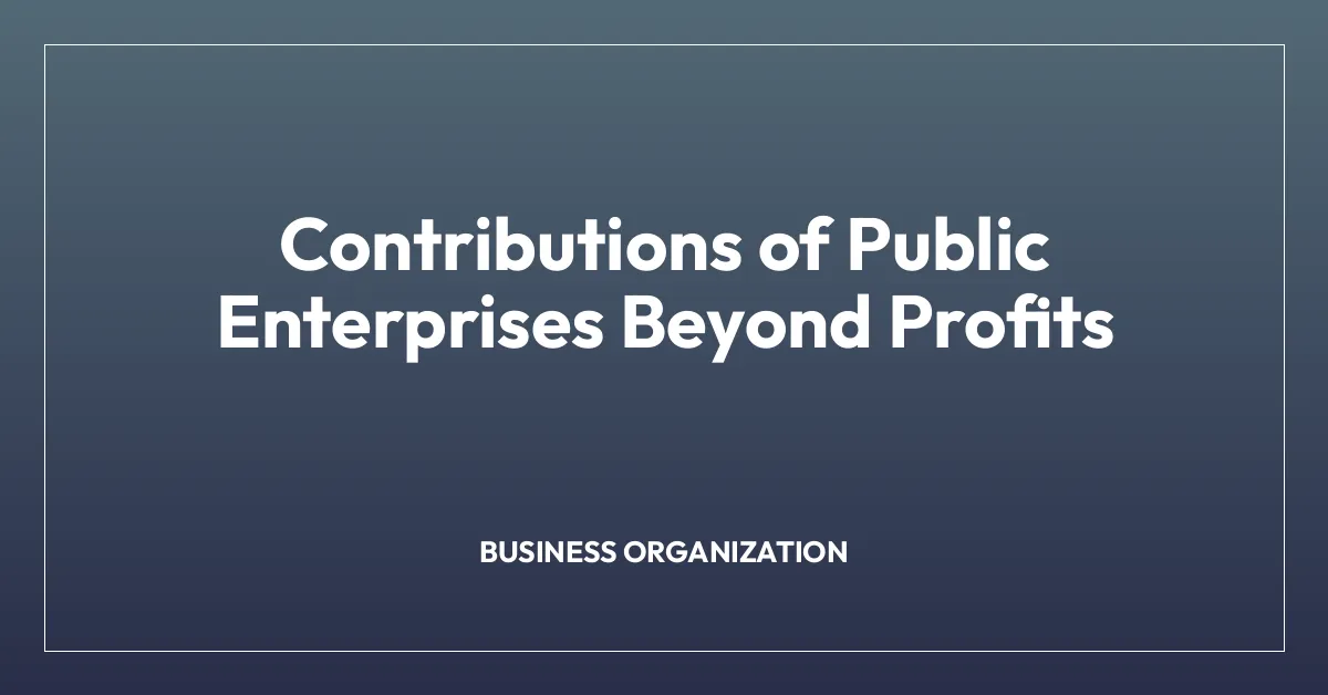 Contributions of Public Enterprises Beyond Profits