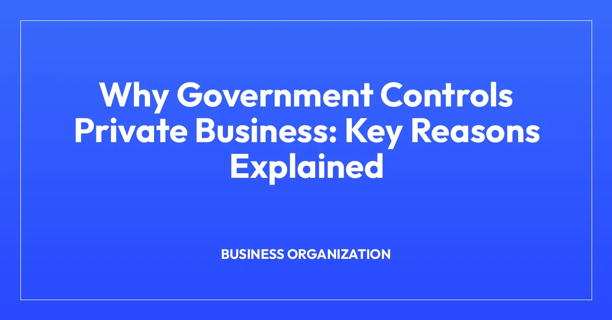 Why Government Controls Private Business: Key Reasons Explained